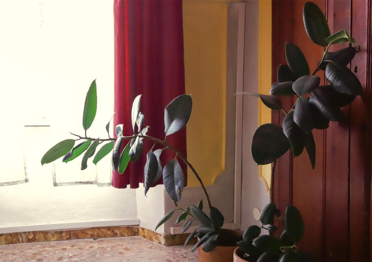 Retro B&B Pisa Luaran gambar